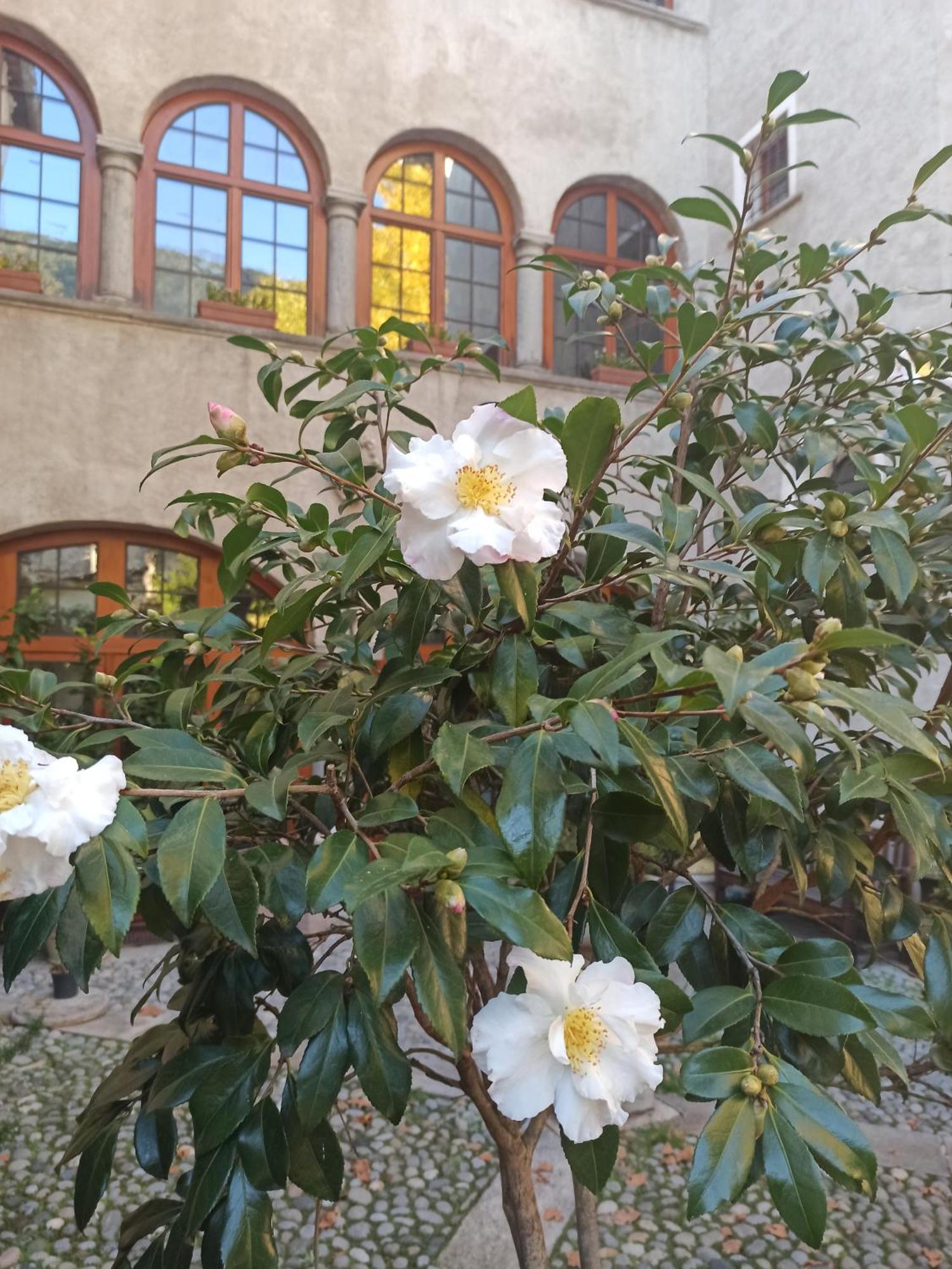 B&B Di Charme Palazzo Lambertenghi Tirano Dış mekan fotoğraf